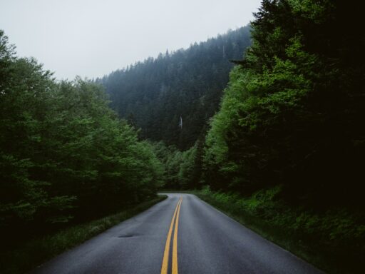 On the journey of reviving life, you cannot see around the corners.